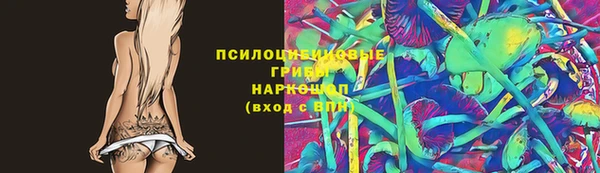 СК Медвежьегорск