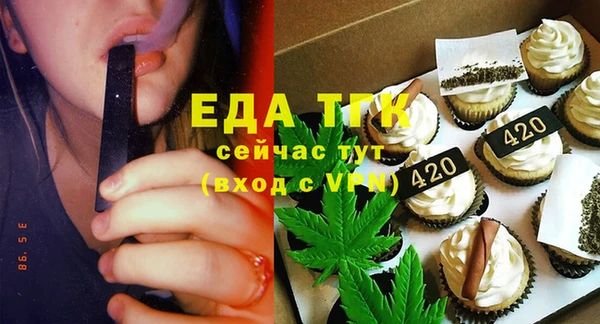 индика Михайловск