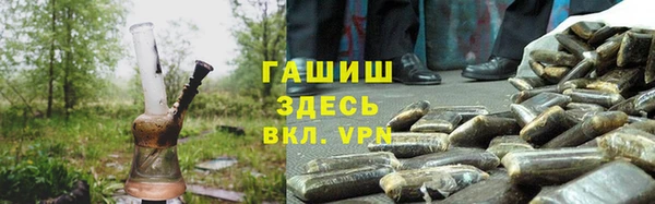 СК Медвежьегорск