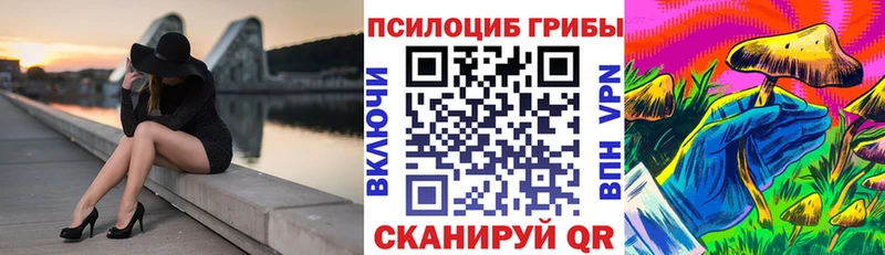 Псилоцибиновые грибы Cubensis  Купить  Абдулино 